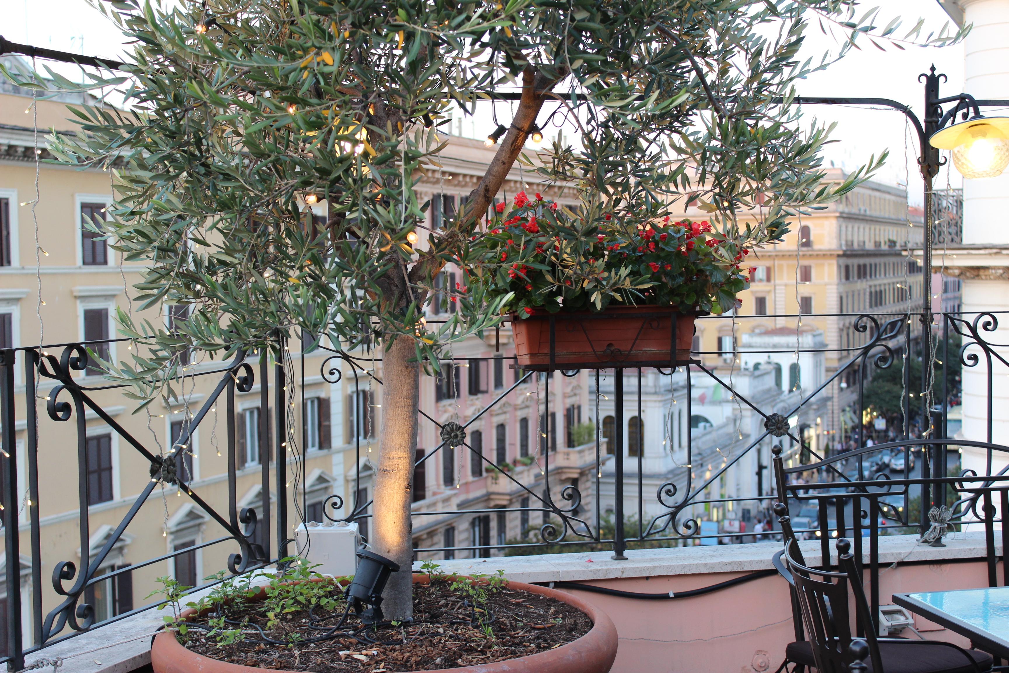 רומא Hotel Dei Consoli Vaticano מראה חיצוני תמונה