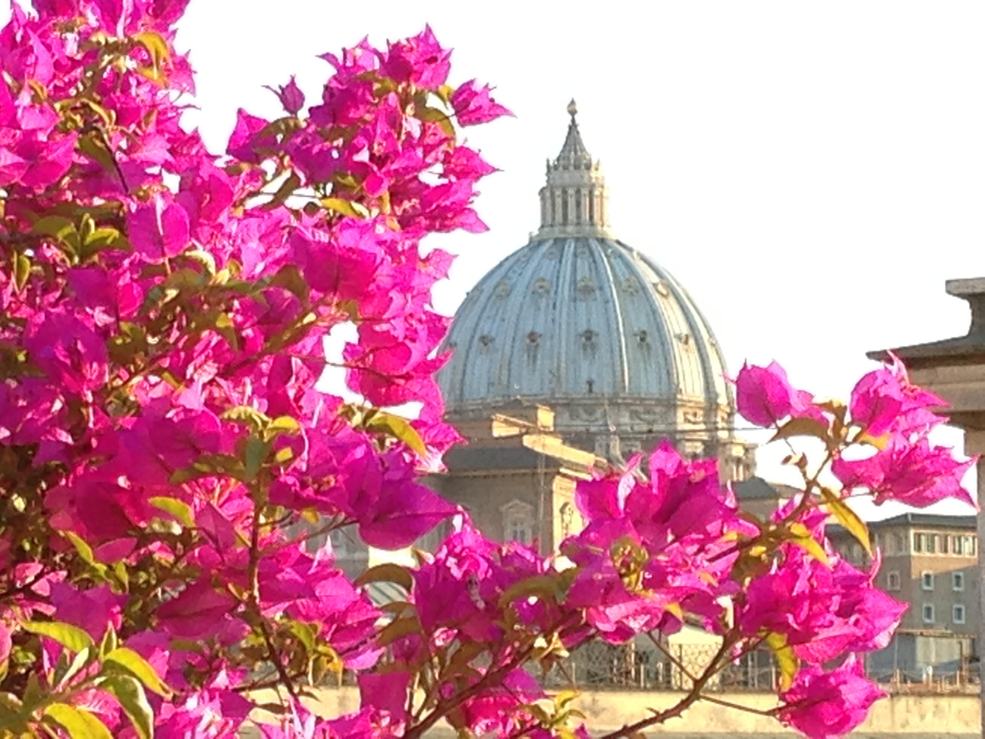 רומא Hotel Dei Consoli Vaticano מראה חיצוני תמונה